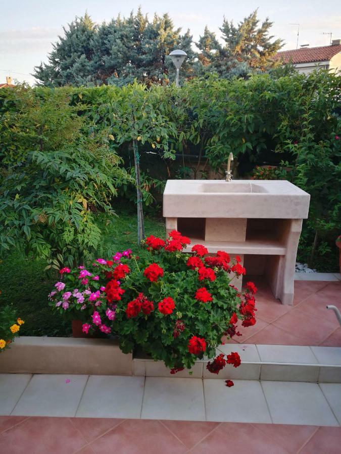 Appartamento Alida أوماغ المظهر الخارجي الصورة